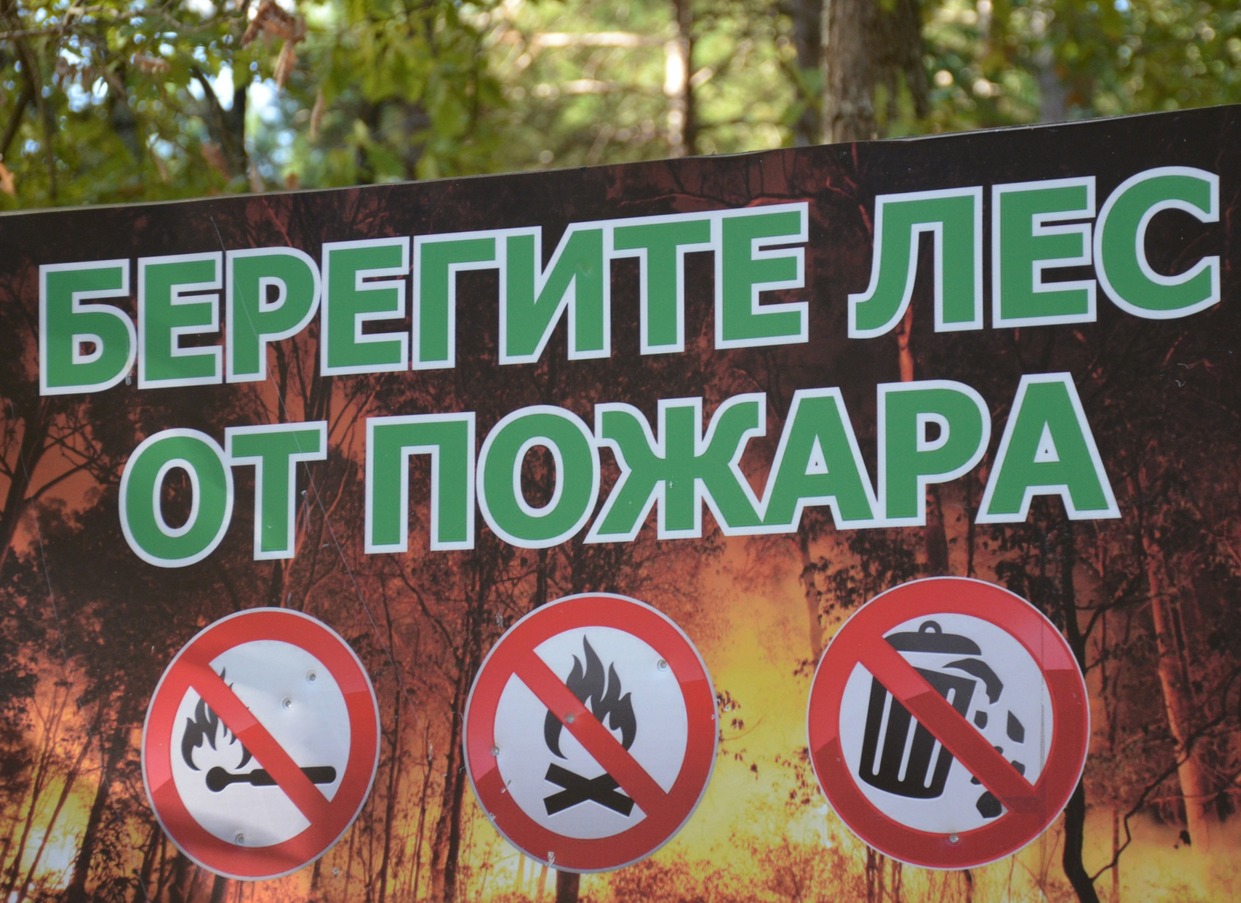В Солотче из-за «человеческого фактора» произошел лесной пожар